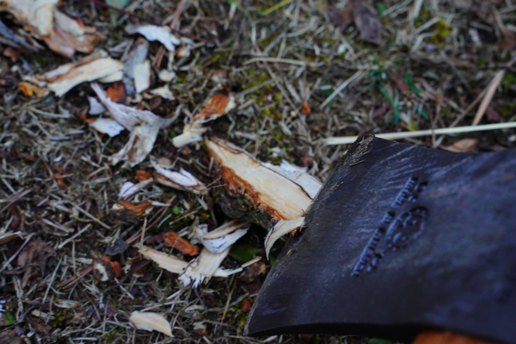 f:id:shirodango:20210212192613j:plain