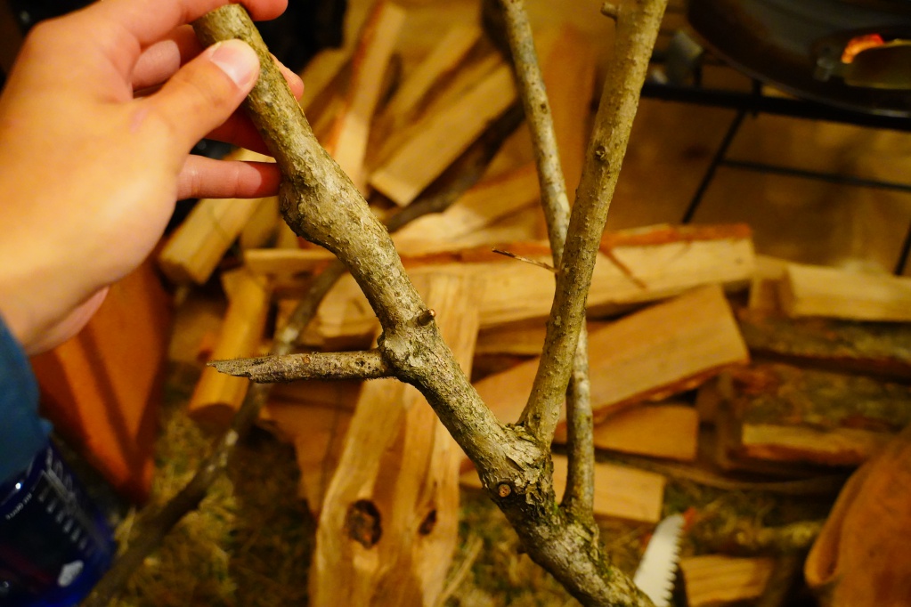 f:id:shirodango:20210218203657j:plain