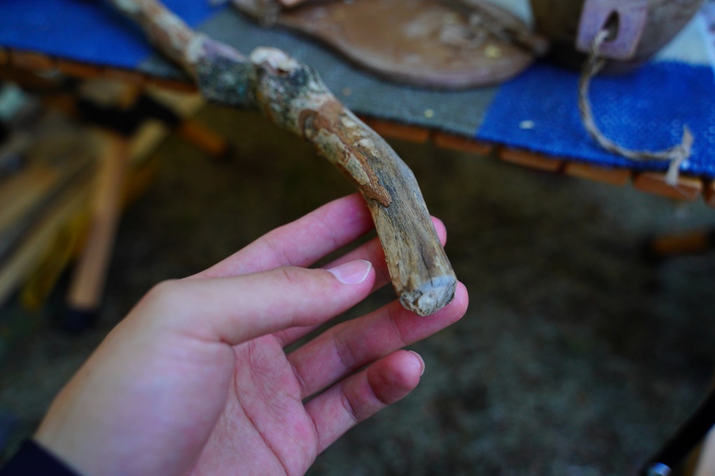 f:id:shirodango:20210218203931j:plain