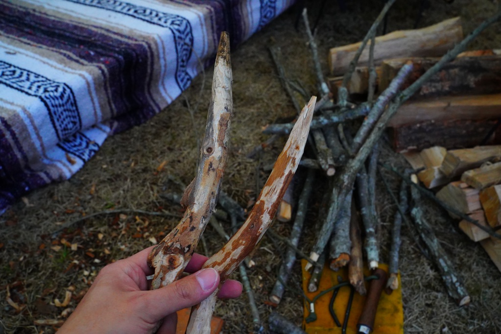 f:id:shirodango:20210224210246j:plain