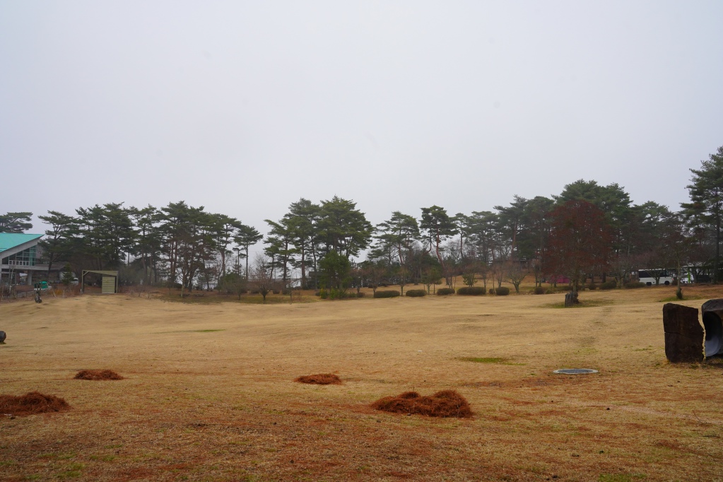 f:id:shirodango:20210308210603j:plain