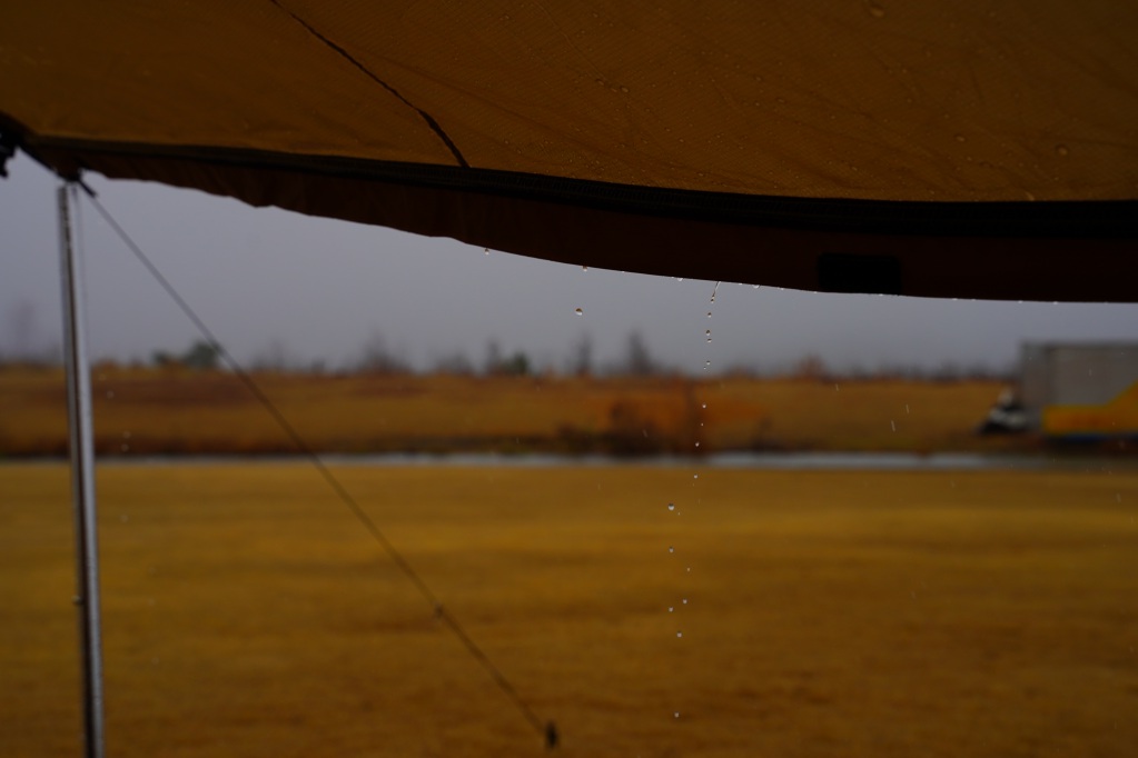 f:id:shirodango:20210322002009j:plain