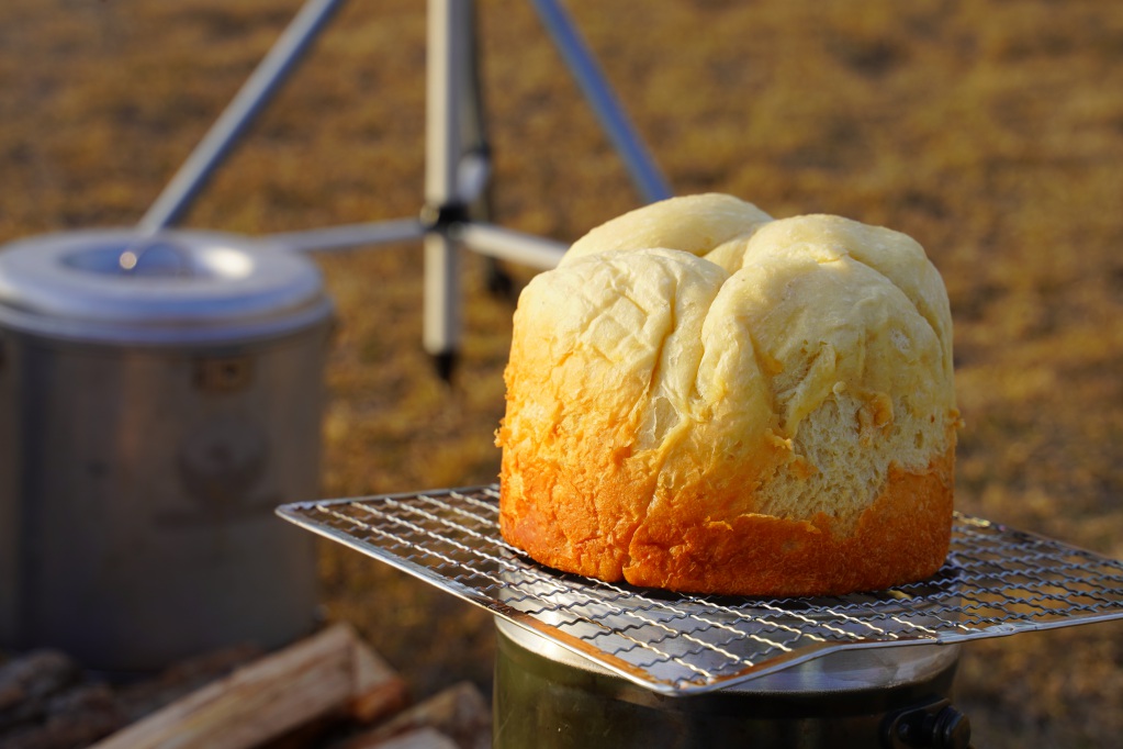 f:id:shirodango:20210411222045j:plain