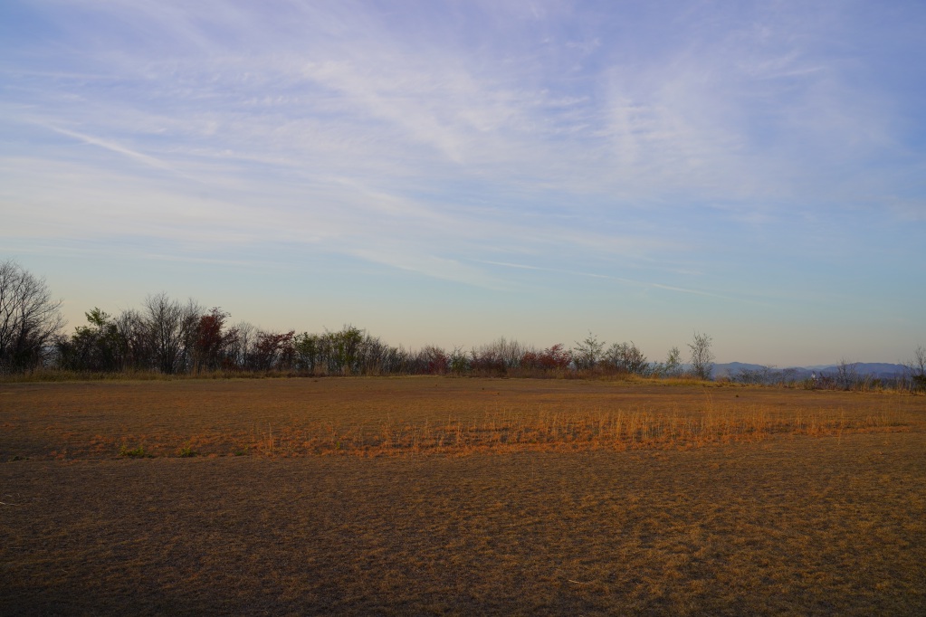 f:id:shirodango:20210411222202j:plain