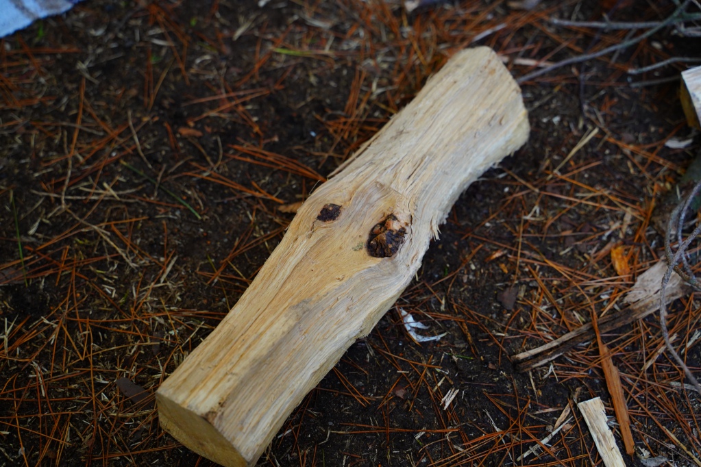 f:id:shirodango:20210415204814j:plain