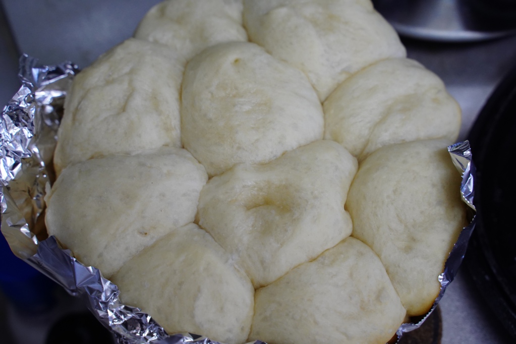 f:id:shirodango:20210601215053j:plain