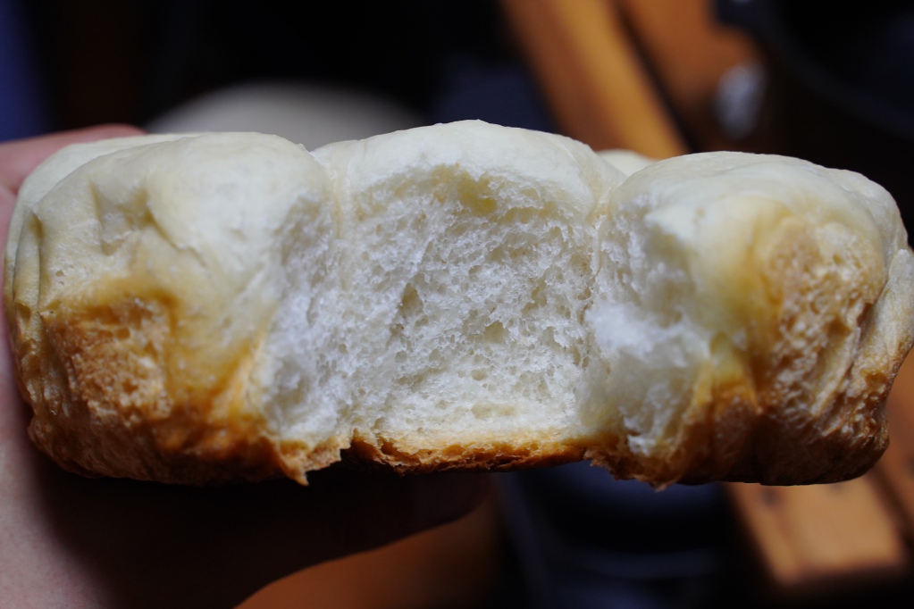 f:id:shirodango:20210601215219j:plain