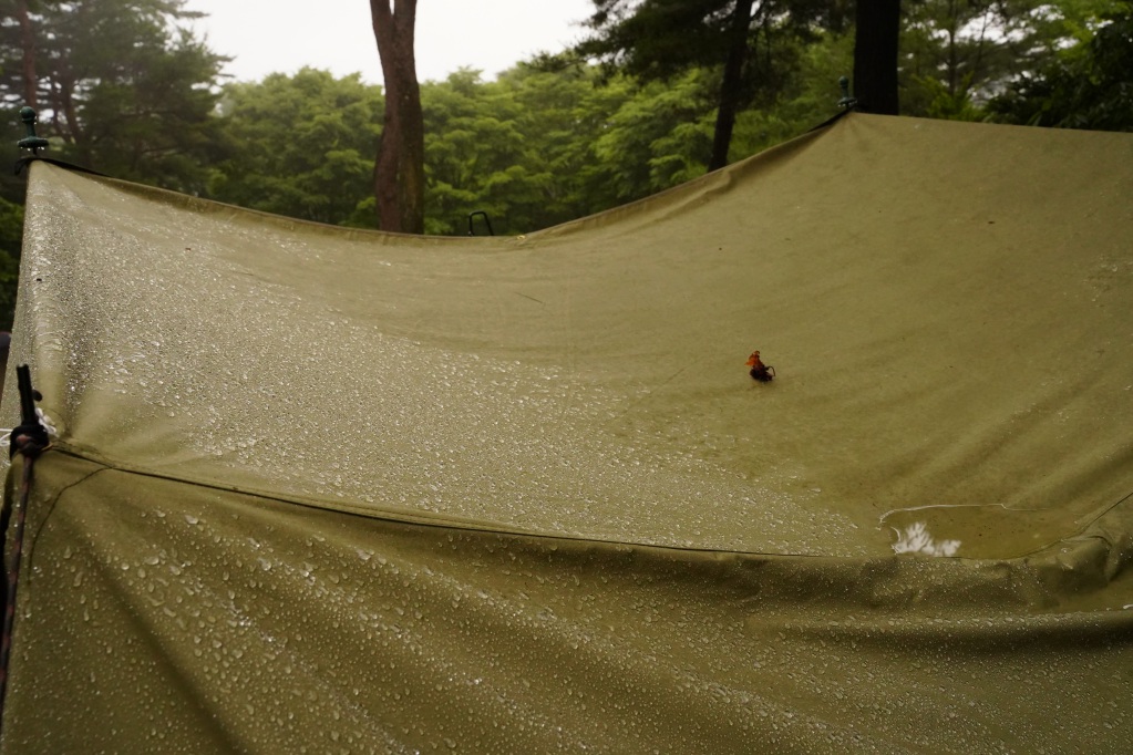 f:id:shirodango:20210703175850j:plain