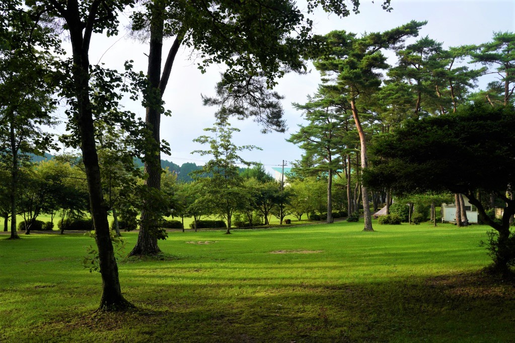 f:id:shirodango:20210711133714j:plain