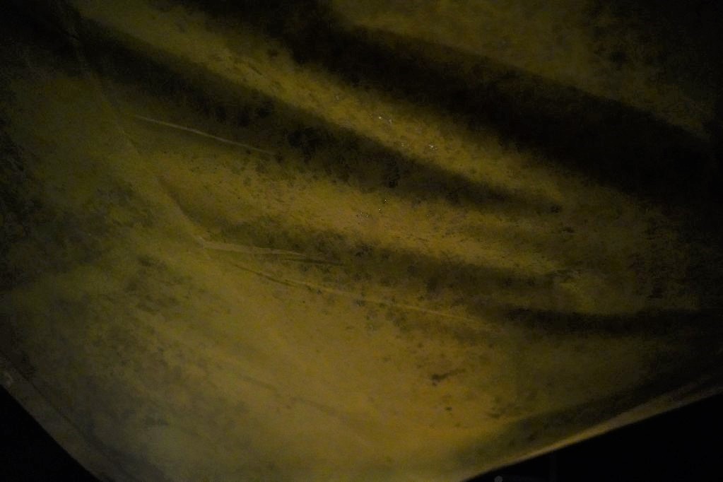 f:id:shirodango:20210809213907j:plain