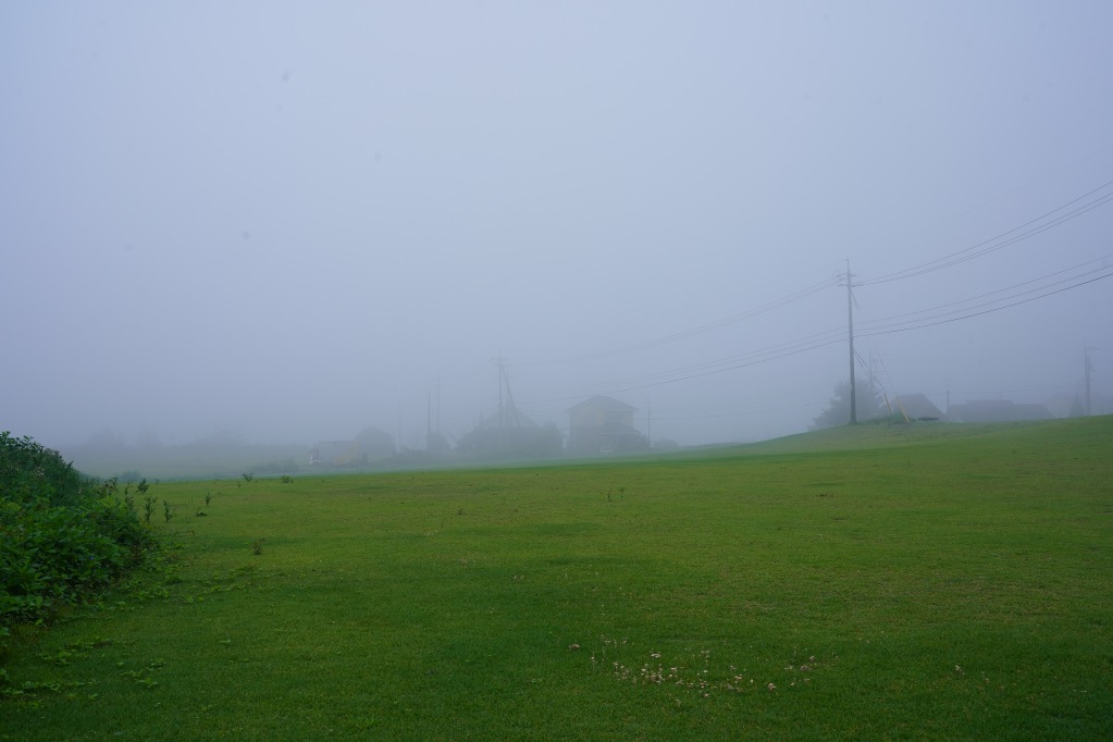 f:id:shirodango:20210823210428j:plain