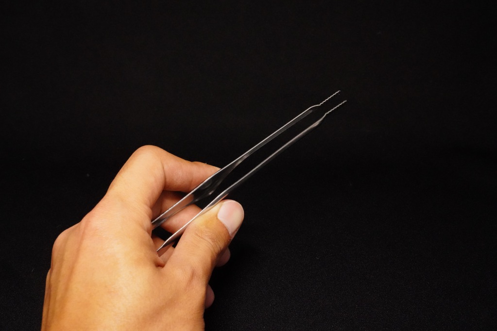 f:id:shirodango:20210825201608j:plain