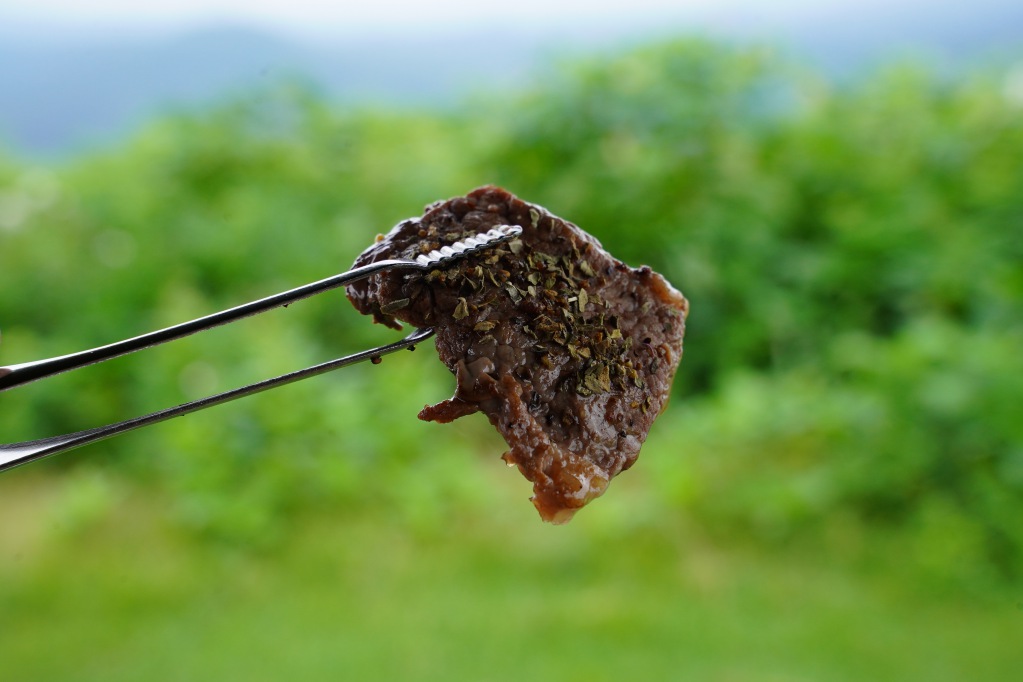 f:id:shirodango:20210825201821j:plain