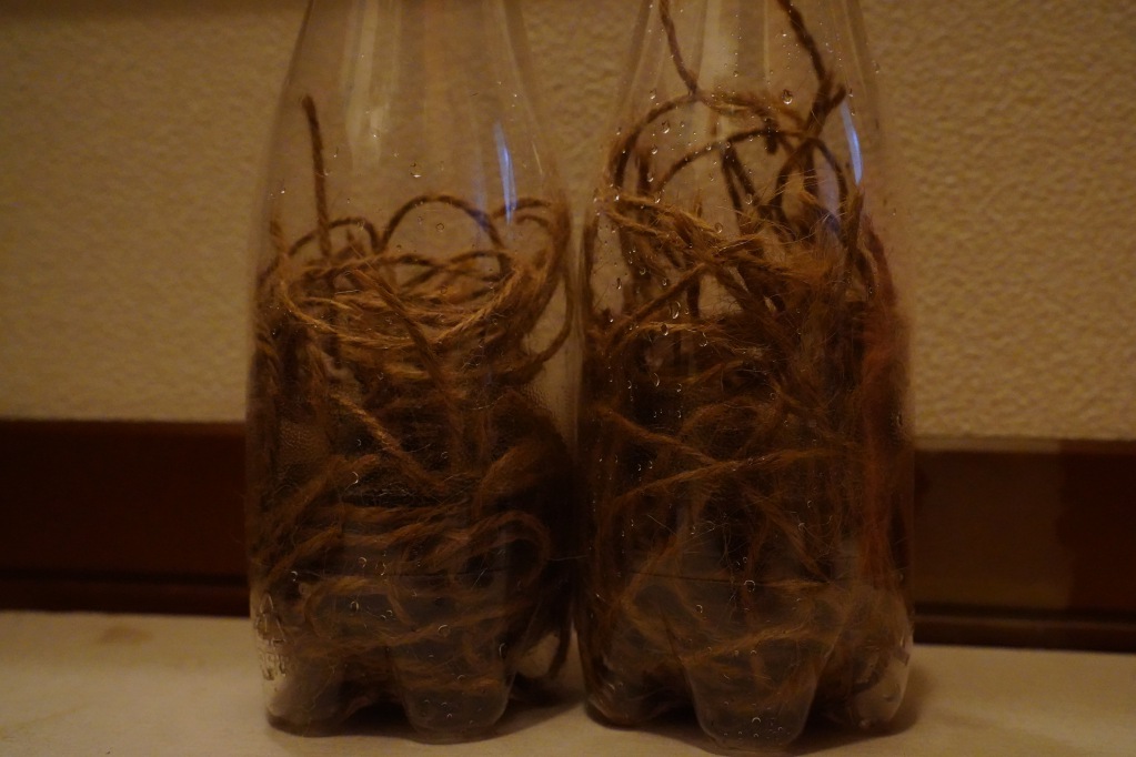 f:id:shirodango:20210828195757j:plain