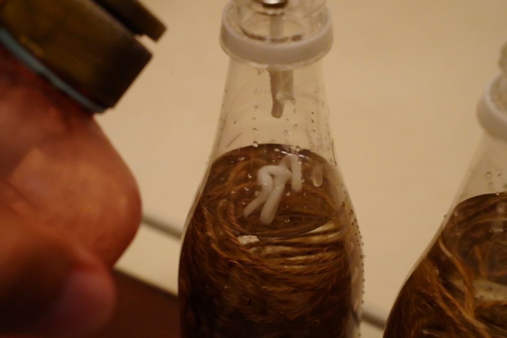 f:id:shirodango:20210828195821j:plain