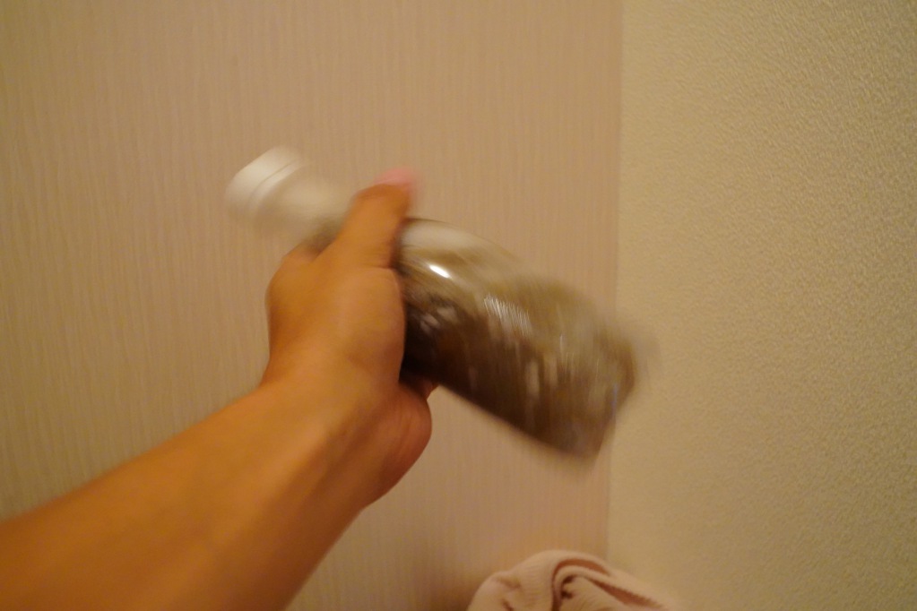 f:id:shirodango:20210828195833j:plain