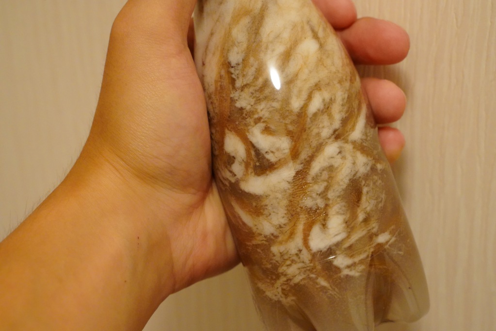 f:id:shirodango:20210828195845j:plain