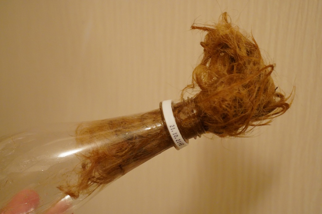 f:id:shirodango:20210828195905j:plain