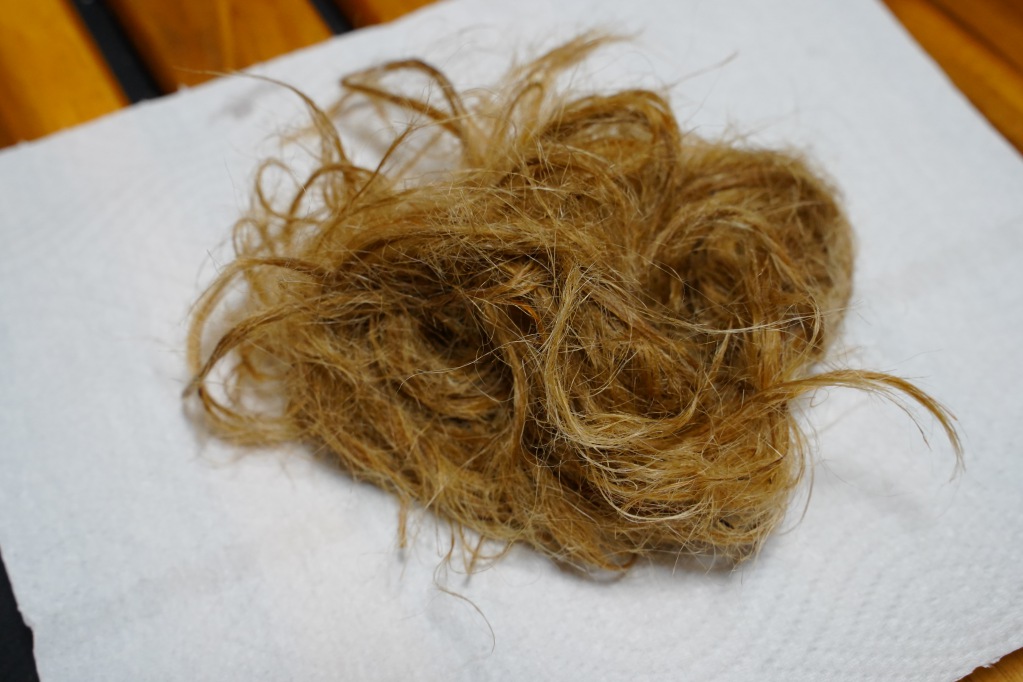 f:id:shirodango:20210828195907j:plain