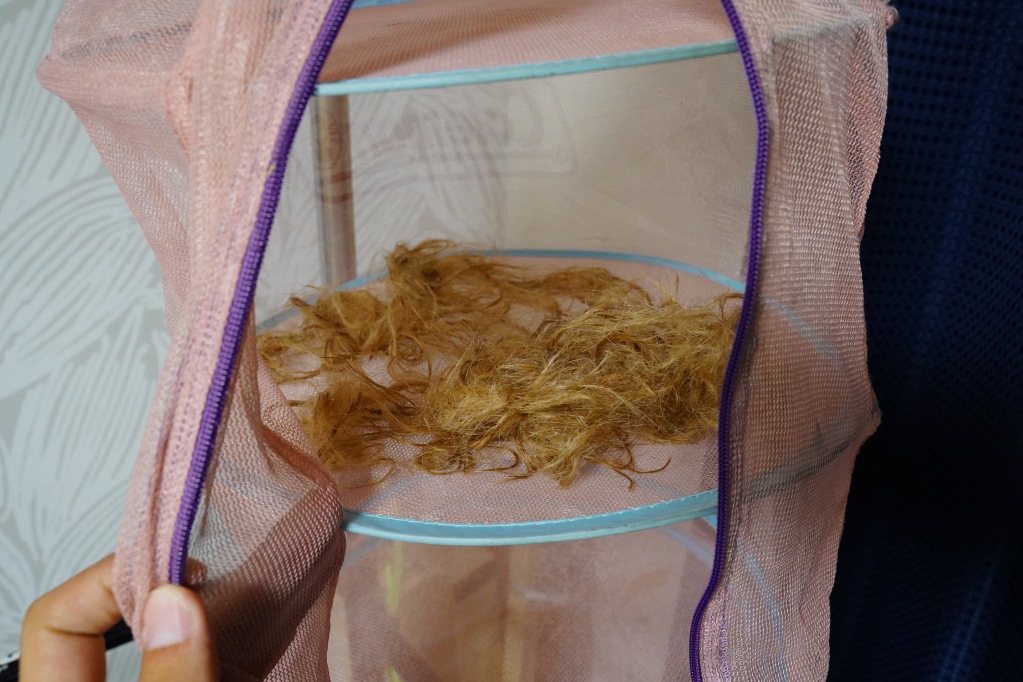 f:id:shirodango:20210828195925j:plain