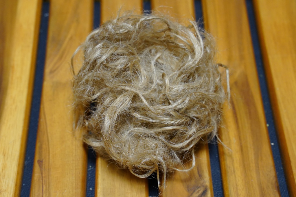 f:id:shirodango:20210828195941j:plain