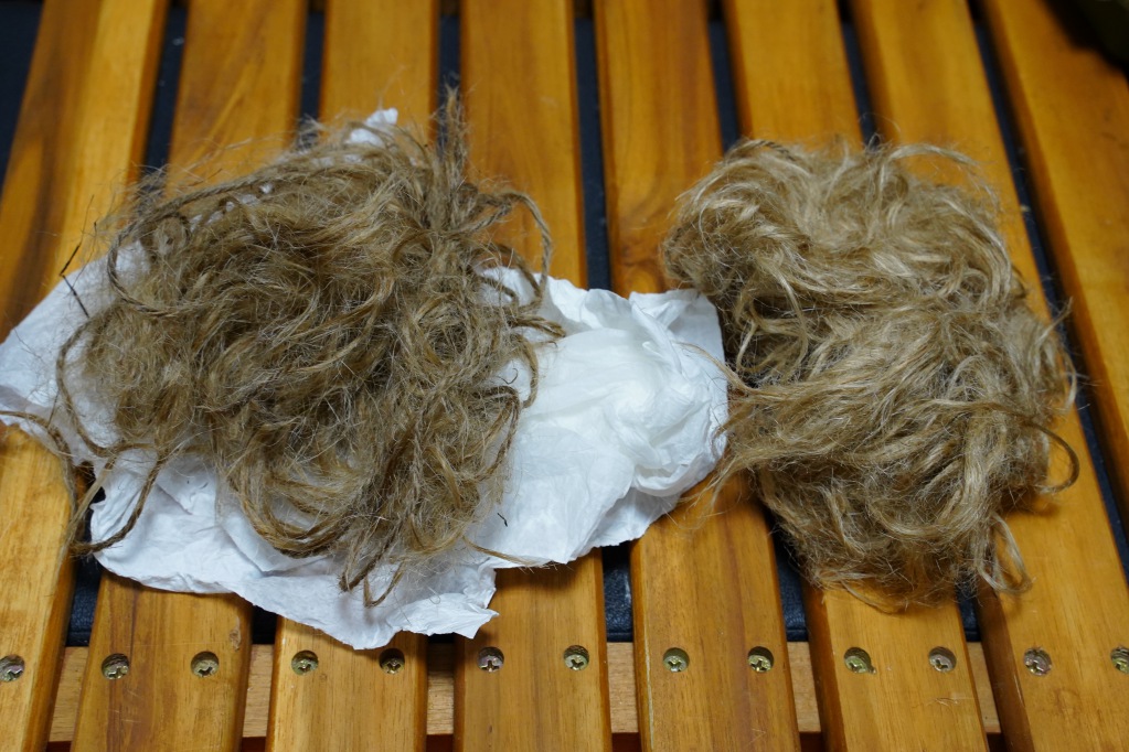 f:id:shirodango:20210828200022j:plain