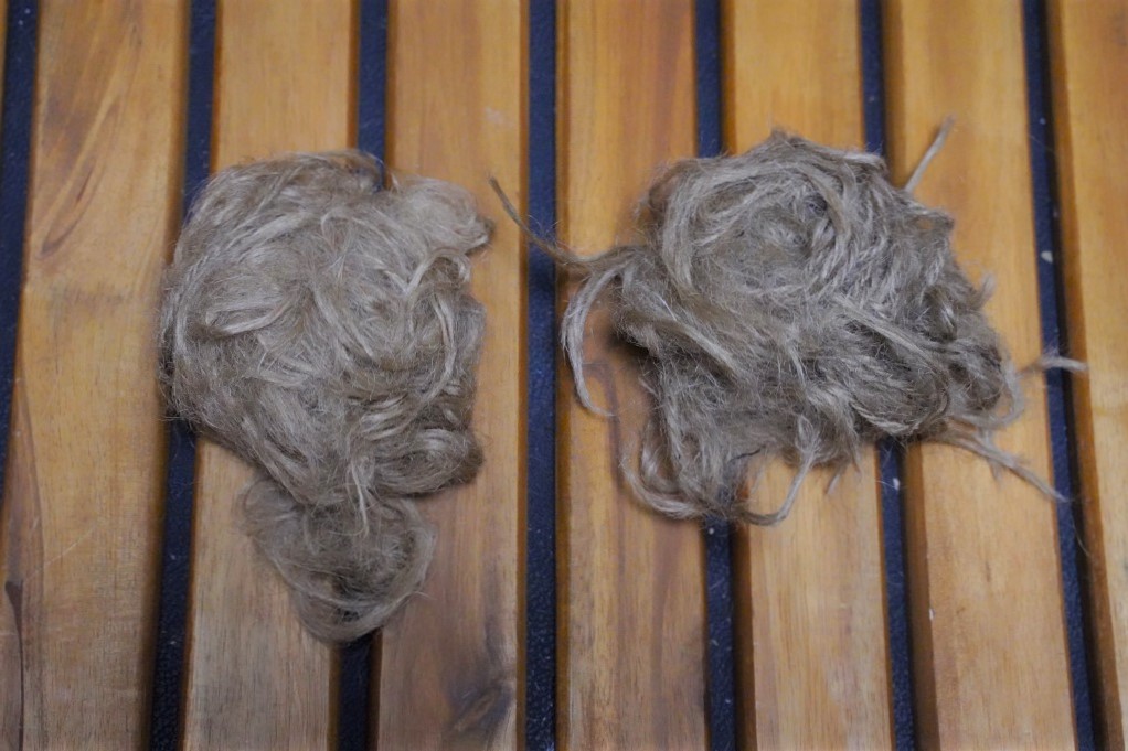 f:id:shirodango:20210828200055j:plain