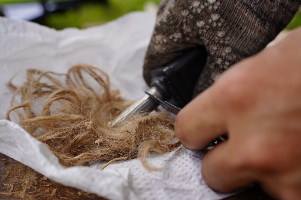 f:id:shirodango:20210828200112j:plain