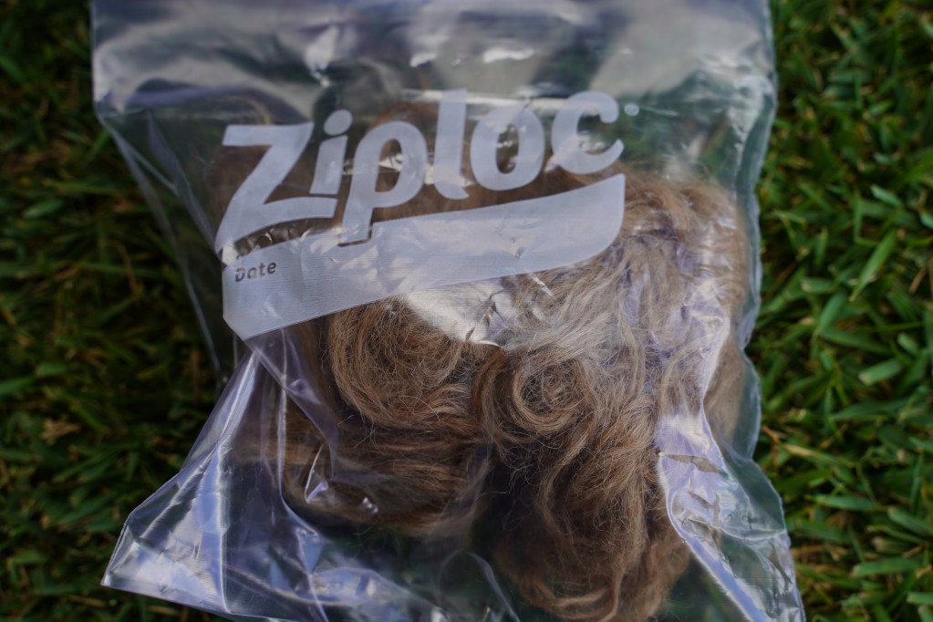 f:id:shirodango:20210828200122j:plain