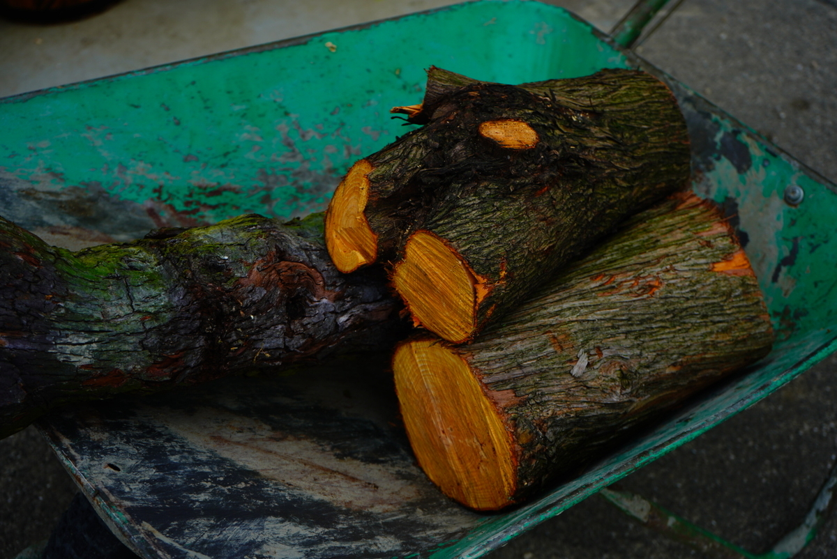 f:id:shirodango:20211019200622j:plain