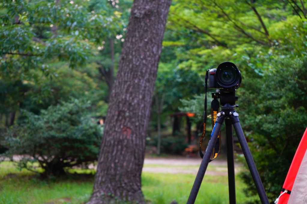 f:id:shirodango:20211031211325j:plain