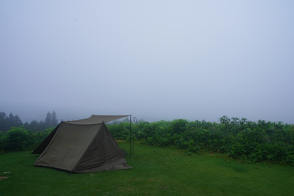 f:id:shirodango:20211031211358j:plain