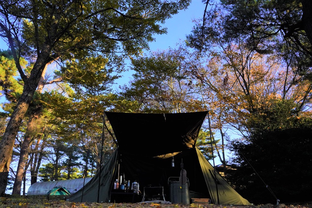 f:id:shirodango:20211202215425j:plain