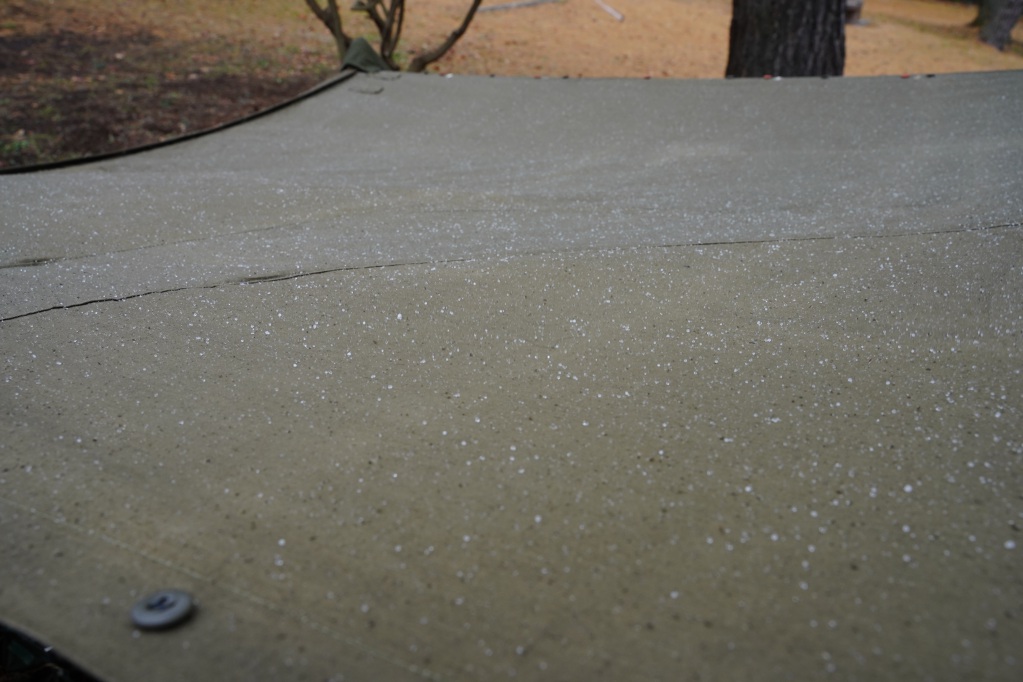 f:id:shirodango:20211206172607j:plain