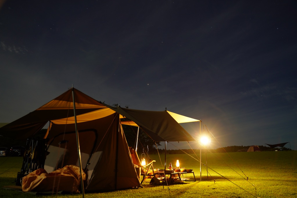 f:id:shirodango:20220213214252j:plain