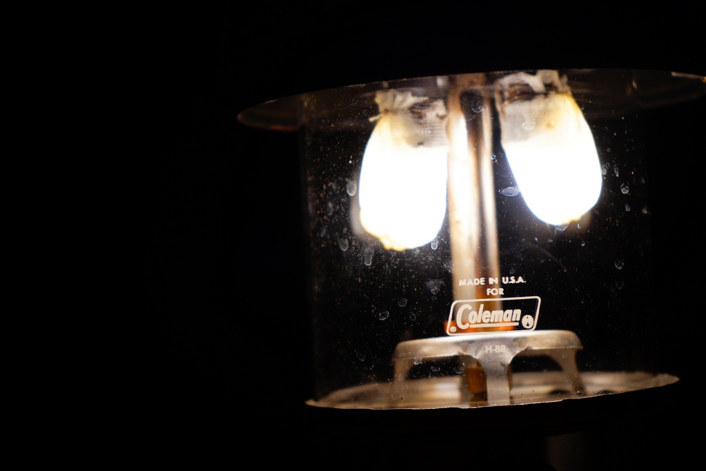 f:id:shirodango:20220213214523j:plain