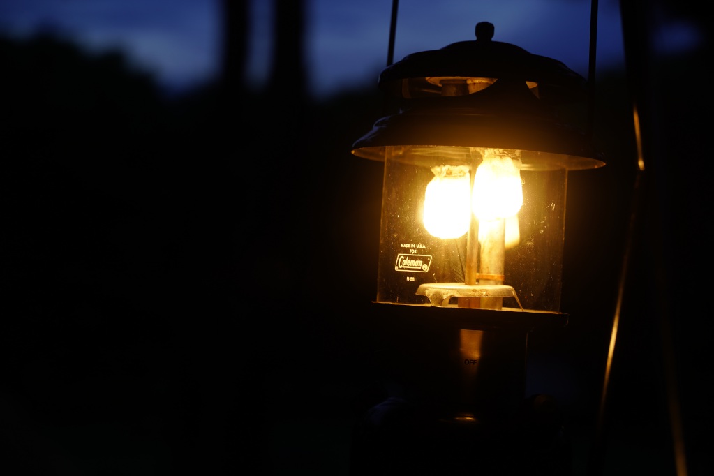 f:id:shirodango:20220213214539j:plain