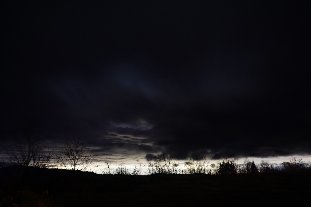 f:id:shirodango:20220403161713j:plain