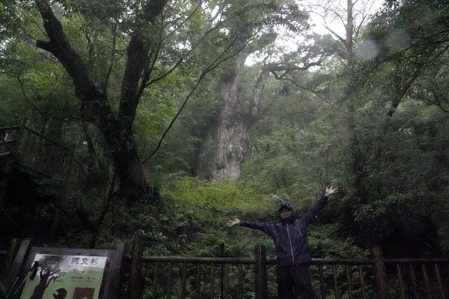 f:id:shirodango:20230611205311j:image
