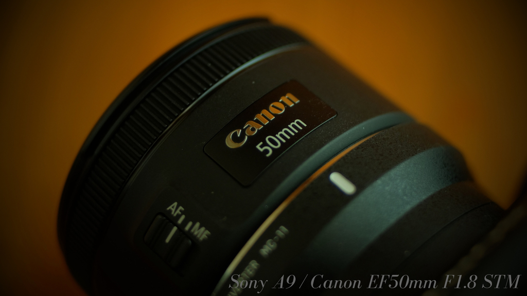 Canon EFレンズ 50mm F1.8 II  / シンデレラレンズ Canon EFレンズ 50mm F1.8 II / シンデレラレンズ（レンズ沼