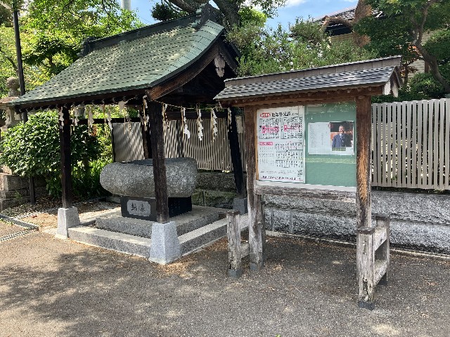 f:id:shiroi-azuki:20260620181243j:image