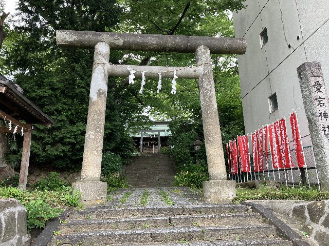 f:id:shiroi-azuki:20260620191917j:image