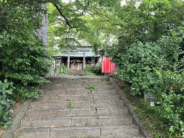 f:id:shiroi-azuki:20260620192004j:image