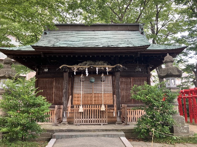 f:id:shiroi-azuki:20260620192139j:image