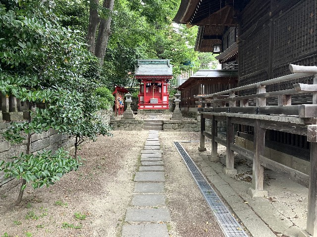 f:id:shiroi-azuki:20260621155744j:image