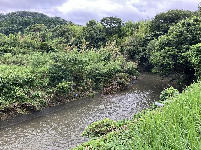 f:id:shiroi-azuki:20260704191044j:image