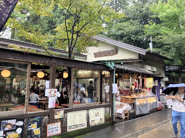 f:id:shiroi-azuki:20260920145340j:image