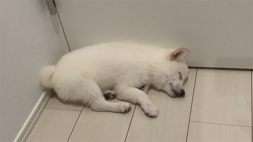 f:id:shiroi_okome:20200706225843j:image f:id:shiroi_okome:20200706225843j:image