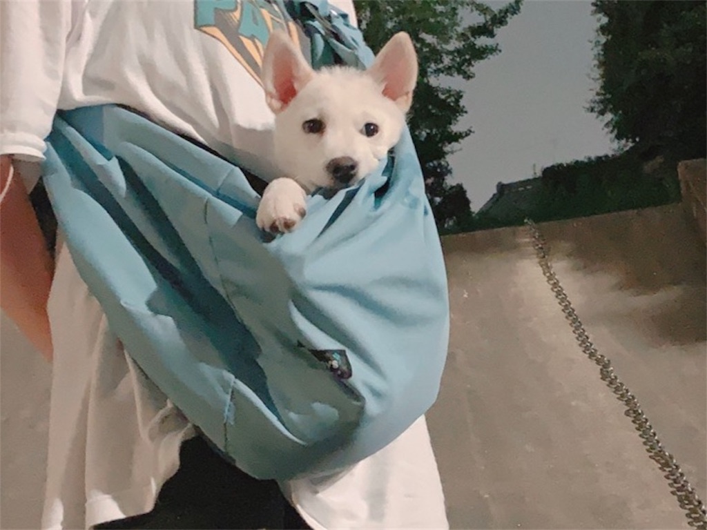 f:id:shiroi_okome:20200803230811j:image f:id:shiroi_okome:20200803230811j:image