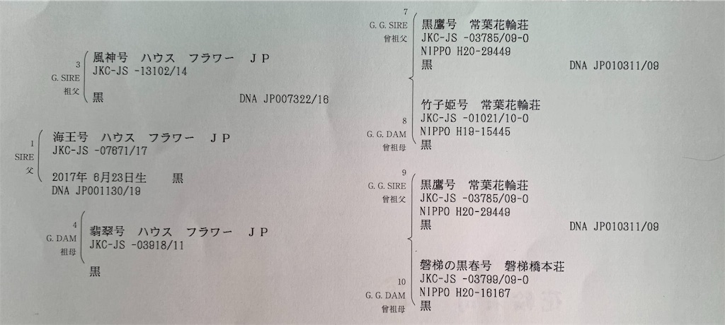 f:id:shiroi_okome:20200810145008j:image f:id:shiroi_okome:20200810145008j:image